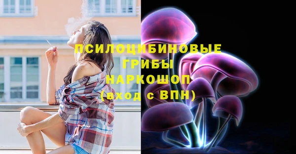 мет Арсеньев