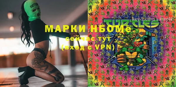 крисы Аркадак