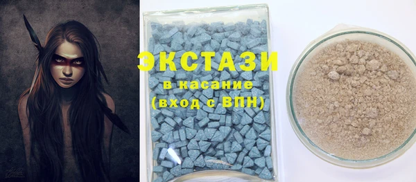 крисы Аркадак