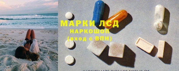 крисы Аркадак