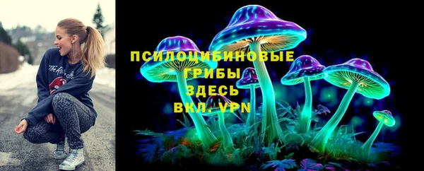 крисы Аркадак